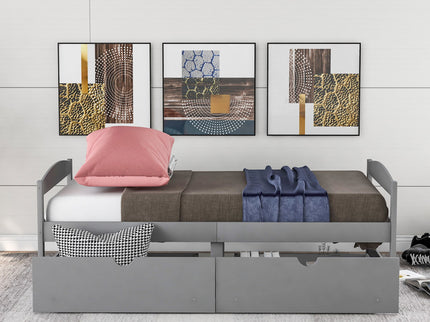 Platform Bed With 2 Drawers