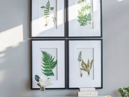 Botanical And Fern Wall Art, Wall Decor For Living Room Dining Room Entryway (Set of 4) - White / Black