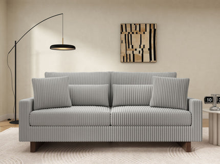 Modern Loveseat Sofa With 4 Pillows