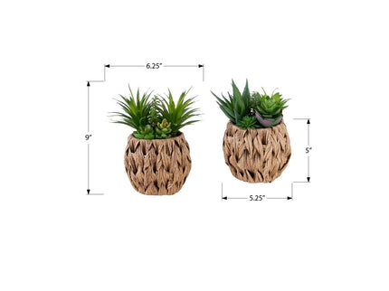 Artificial Succulent, Table Decor (Set of 2) - Green