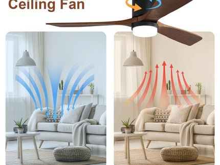 Indoor Ceiling Fan With Lights, Reversible DC Motor, Remote Control - Black