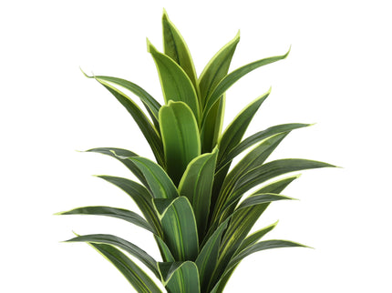 47" Tall, Artificial Plant, Dracaena Tree, Indoor, Faux, Fake, Floor, Greenery, Potted, Real Touch, Decorative - Green / Black