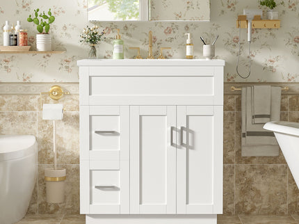 Bathroom Vanity With 2 Doors, 2 Drawers, Adjustable Shelf, Hidden Slides & Soft Close Hinges