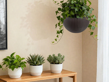 Self Watering Hanging Planter