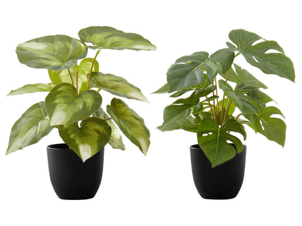 13" Tall, Artificial Plant, Monstera Calthea, Indoor, Faux, Fake, Table, Greenery, Potted, Decorative (Set of 2) - Green / Black