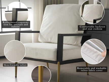 Modern Armchair With Solid Wood Frame