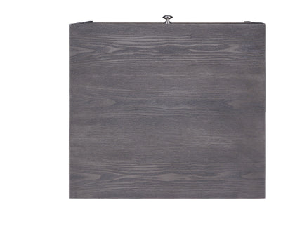 Iban - End Table - Gray Oak / Chrome