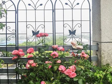 Garden Metal Trellis Rustproof Trellis For Climbing Plants Outdoor Flower Support