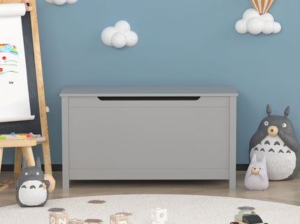 Toy Box Storage With Safety Hinged Lid