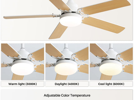 Modern Ceiling Fan With 3 Color Dimmable Light 5 Blades Remote Control Reversible Dc Motor - White