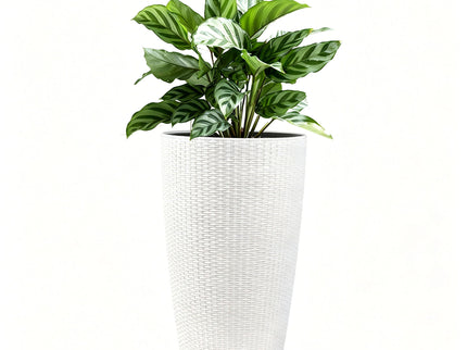 Tall Planters Set With Water Level Monitor And Auto Watering