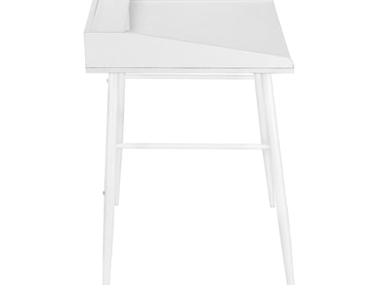 Computer Desk For Home Office, Laptop Storage Shelves, Contemporary & Modern
