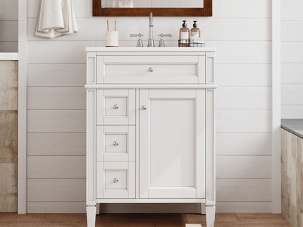 Bathroom Vanity With Top Sink, Storage Cabinet With 2 Drawers And Tip-Out Drawer