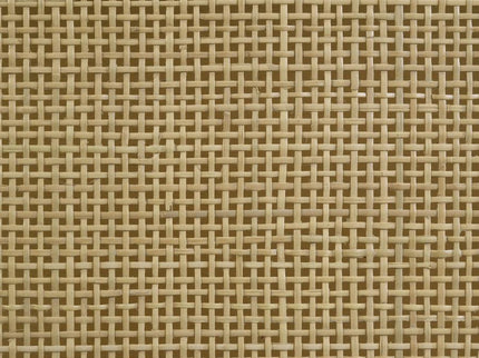 Arini Rattan Cane 2-door TV Stand Media Console Black