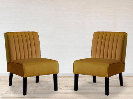 Reese - Mid-Century Modern Accent Chairs With Minimalist Design (Set of 2)