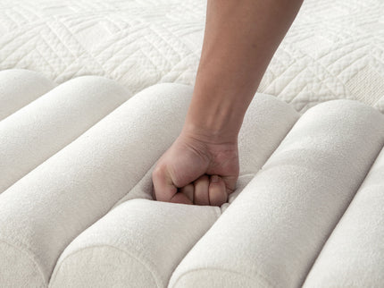 Wide Modern Upholstered Storage Bench With Rolled Armrest