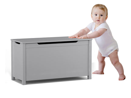 Toy Box Storage With Safety Hinged Lid