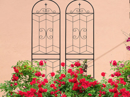 Garden Trellis, Rustproof Support For Climbing Plants