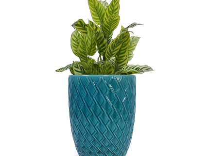 Ceramic Flowerpot, Planter For Patio, Garden, Windowsill