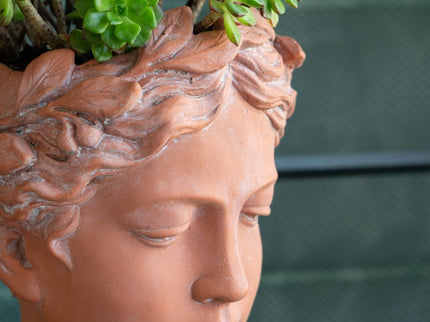 D6X9" Visage Head Bust Planter - Brown