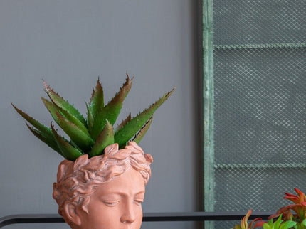 D6X9" Visage Head Bust Planter - Brown