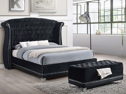 Tufted Trunk With Nailhead Trim Storage Solution - Black