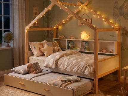 House Bed With Bookshelf Storage