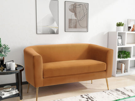 Modern Elegant Design Style Loveseat