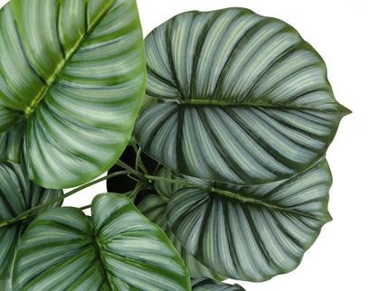24" Tall, Artificial Plant, Calathea, Indoor, Faux, Fake, Table, Greenery, Potted, Real Touch, Decorative - Green / Black
