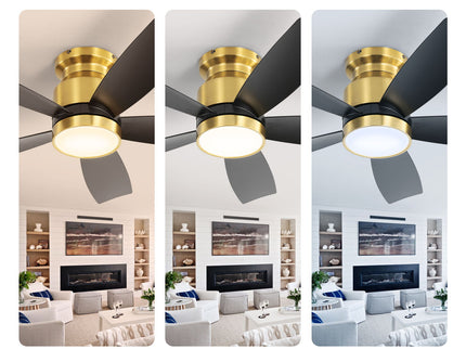 Flush Mount Ceiling Fan With LED Light 22W And Remote Control Blades / Body, DC Motor