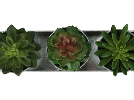 Artificial Succulent, Table Decor (Set of 3) - Green