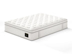 White / Queen