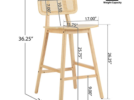 Bari - Indoor Wood Barstool (Set of 2)