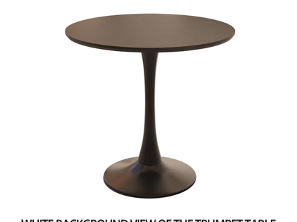 Round Dining Table Set With Tulip Design And 2 Chairs