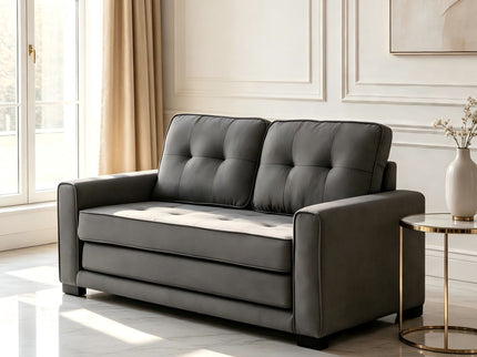 Upholstered Pull Out Sleeper Loveseat
