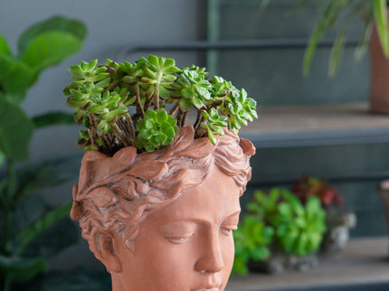 D6X9" Visage Head Bust Planter - Brown