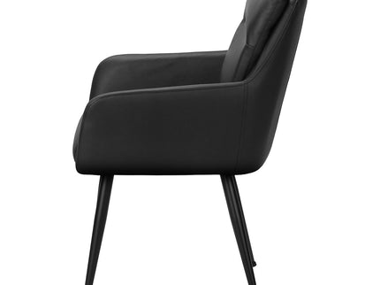 Dining Chair Kitchen & Dining Room Furniture (Set of 2)