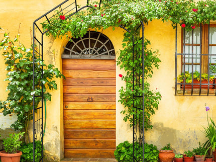 Garden Arch, Climbing Plants Support Outdoor - Black