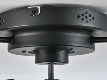 Ceiling Fan With Light, Flower Caged Ceiling Fan With Remote, LED Low Profile Ceiling Light - Matte Black