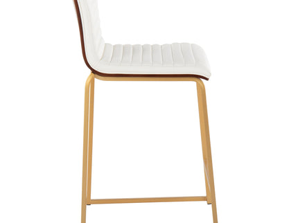 Mason Mara - Contemporary Design Fixed Height Counter Stool (Set of 2)