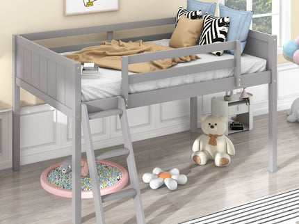 Low Loft Bed With Adjustable Ladder