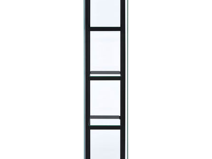 Serena - 4 Shelf Curio Cabinet - Black