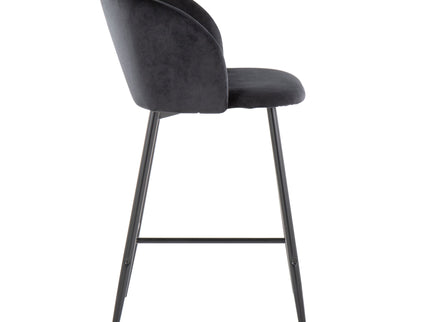 Fran - Contemporary Fixed Height Counter Stool (Set of 2)