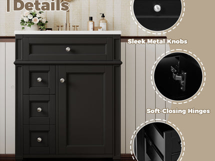 Bathroom Vanity With Top Sink, Storage Cabinet With 2 Drawers And Tip-Out Drawer