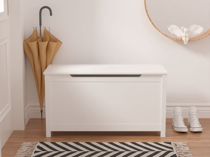 Toy Box Storage With Safety Hinged Lid