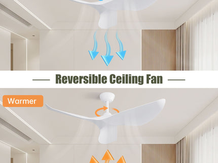 Ceiling Fan Without Light, DC Motor Remote Control Fan For Indoor / Outdoor Use - White