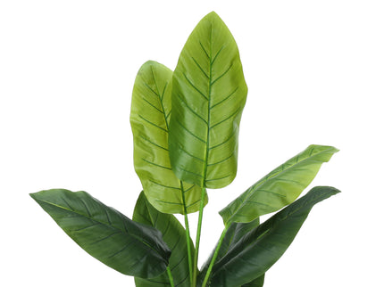 59" Tall, Artificial Plant, Strelitzia Tree, Indoor, Faux, Fake, Floor, Greenery, Potted, Real Touch, Decorative - Green / Black