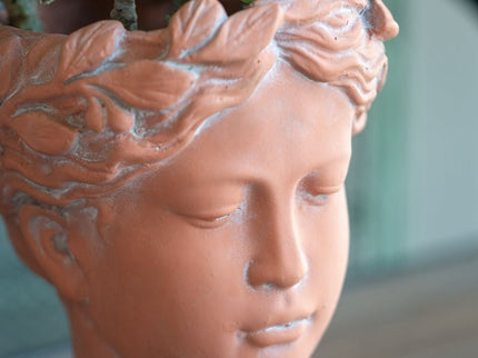 D6X9" Visage Head Bust Planter - Brown