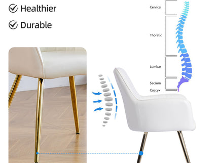 Modern Mid Back Dining Chairs