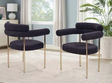 Upholstered Accent Dining Chairs With Armrests (Set of 2)